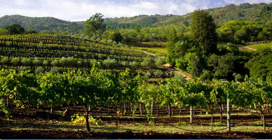 2012-09-05-winery.jpg